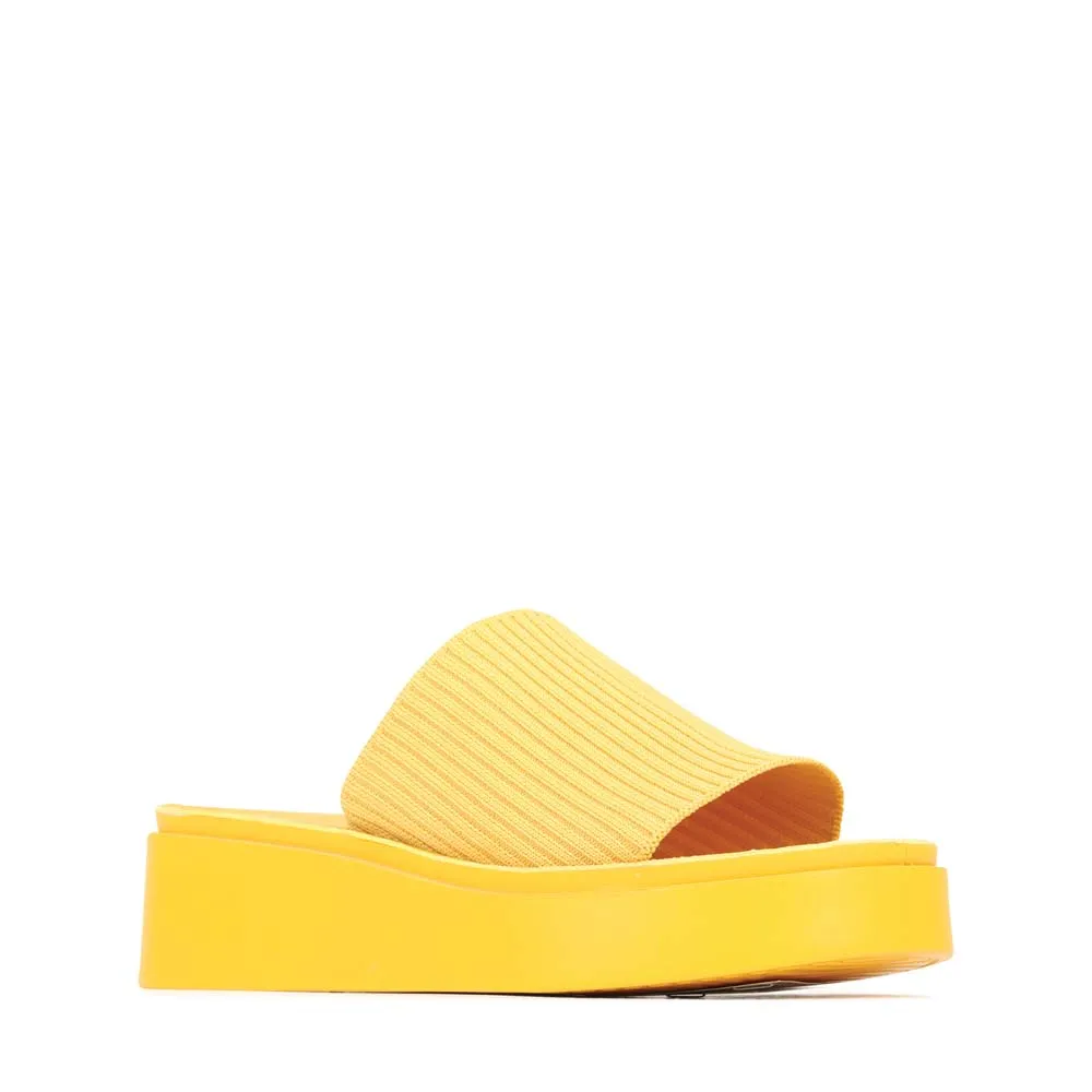 PASS SLIDES