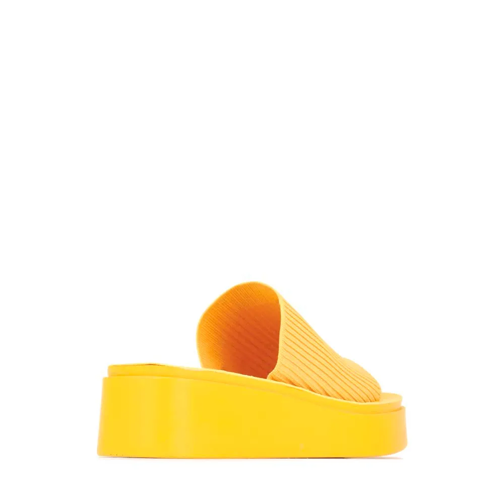 PASS SLIDES