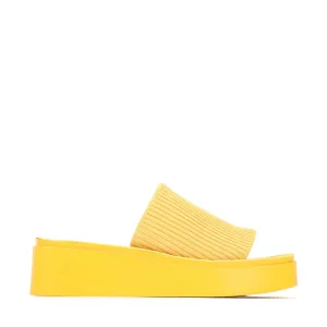 PASS SLIDES