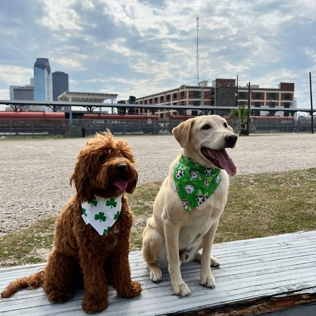 St. Patty's Clover Dog Bandana