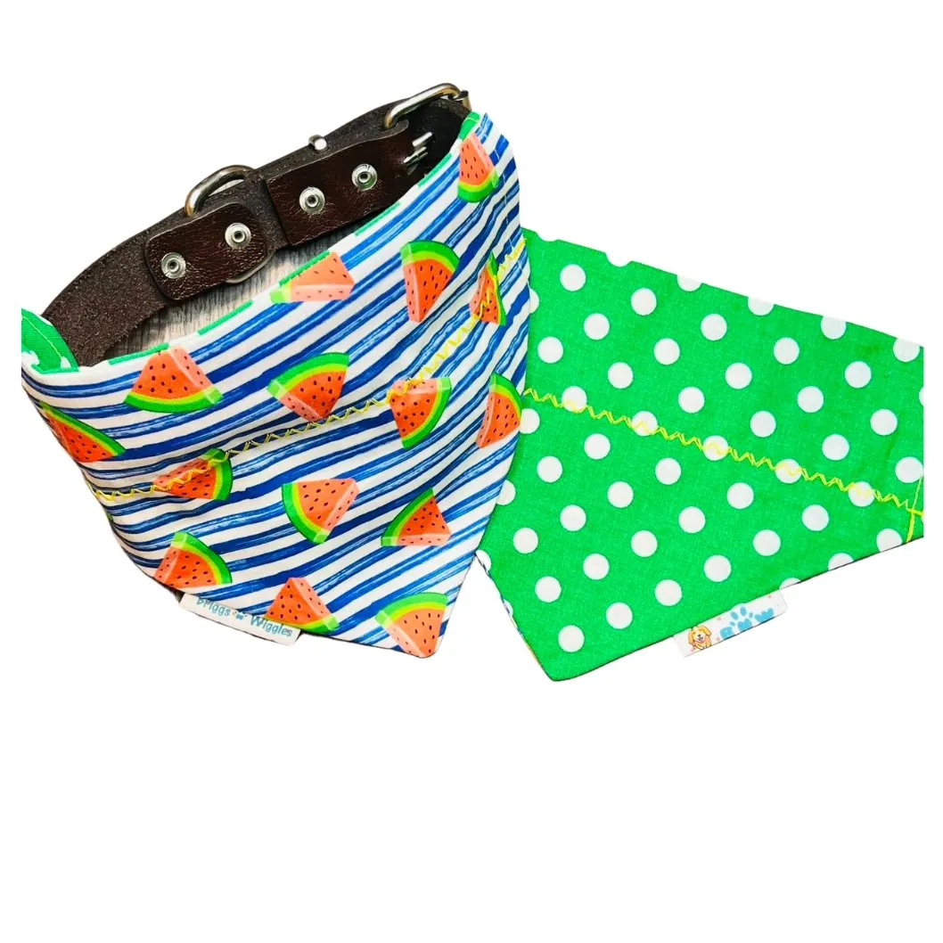 Summer Watermelon Stripe Dog Bandana