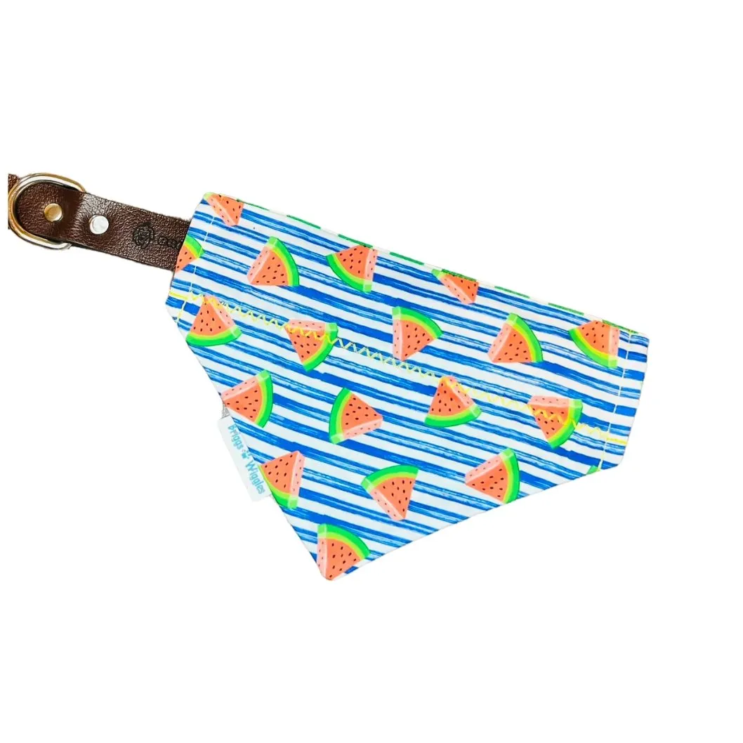 Summer Watermelon Stripe Dog Bandana