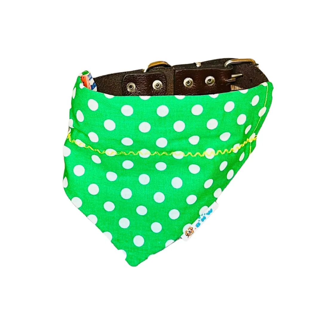 Summer Watermelon Stripe Dog Bandana