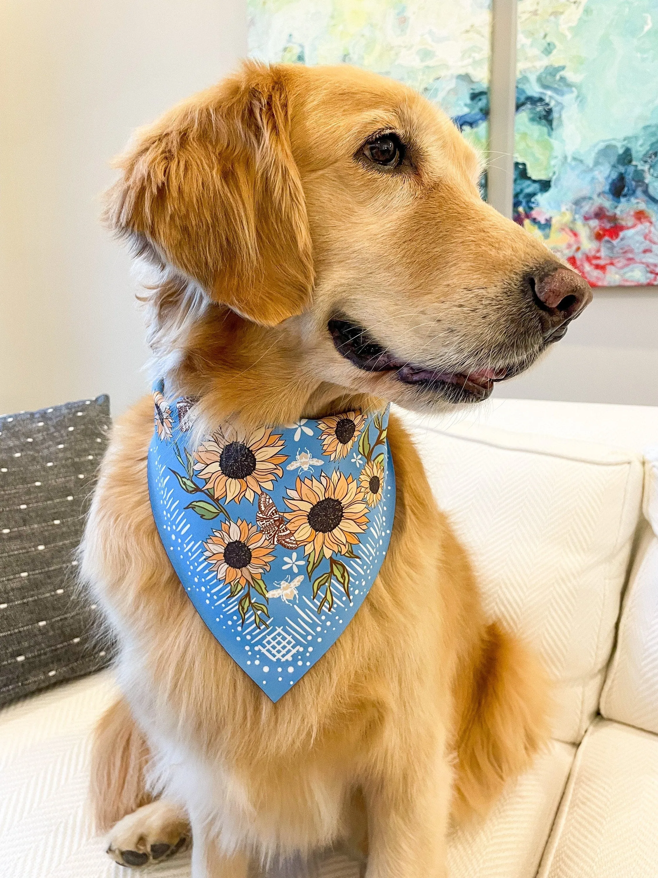 Sunflower Fields Bandana