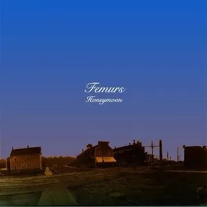 The Femurs Honeymoon - compact disc